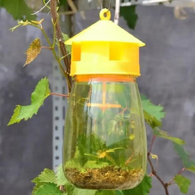 Piège à mouche - menagedirect