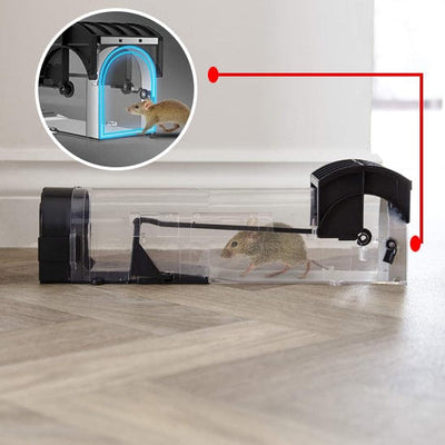 Piège a souris - menagedirect